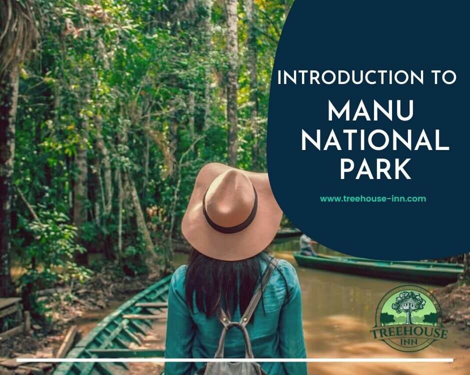 Manu National Park