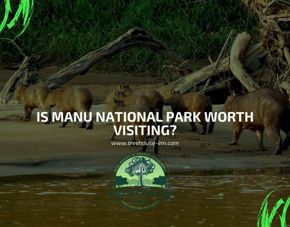 Is Manu National Park Worth visiting?