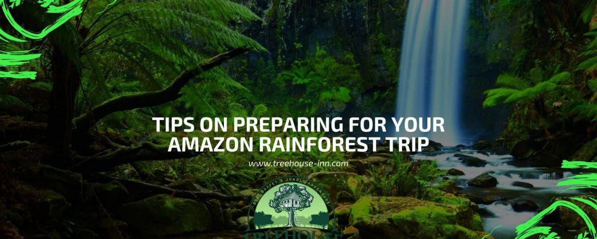 amazon rainforest trip