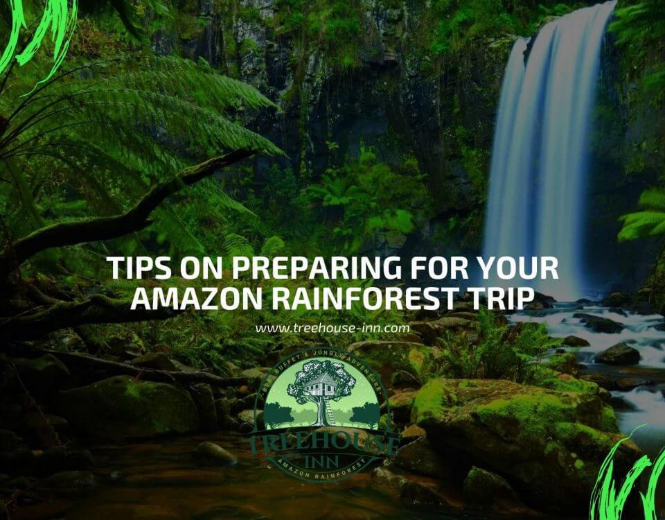 amazon rainforest trip