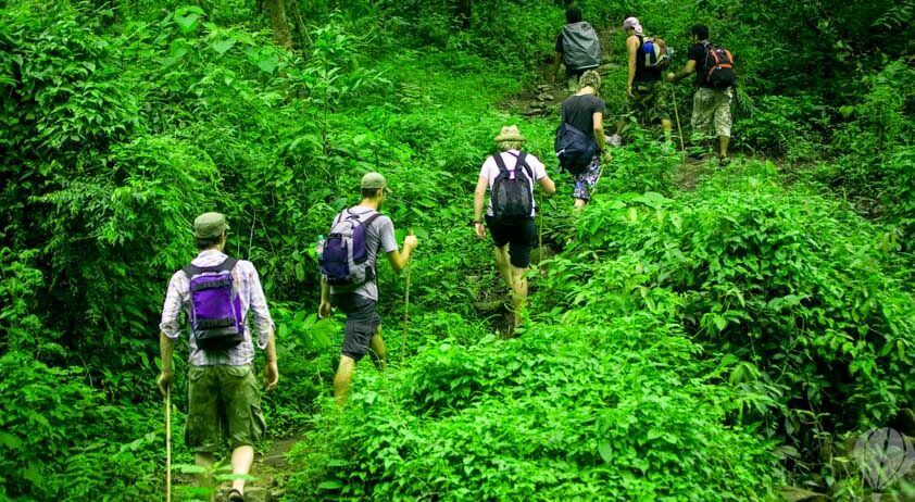 amazon rainforest trip