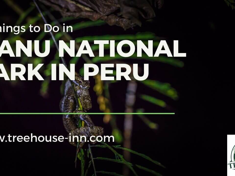 Manu National Park Peru