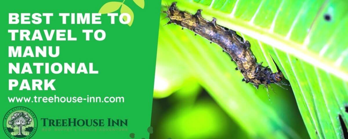 Best Time to Travel to Manu National Park - When to visit Manu National Park?