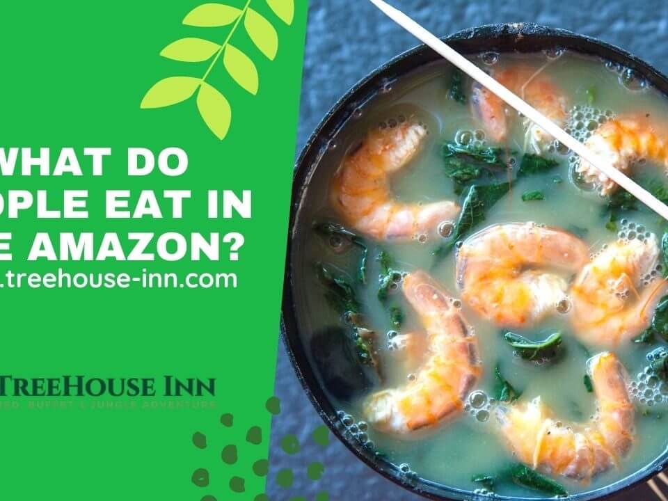 What Do People Eat In The Amazon?
