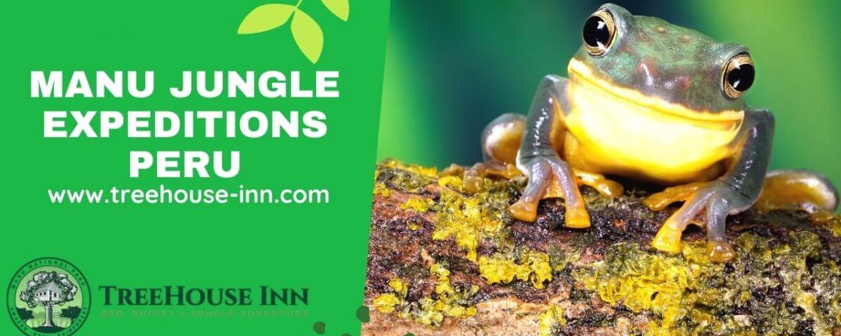 Manu Jungle Expeditions Peru, Amazon Wildlife Peru Cusco