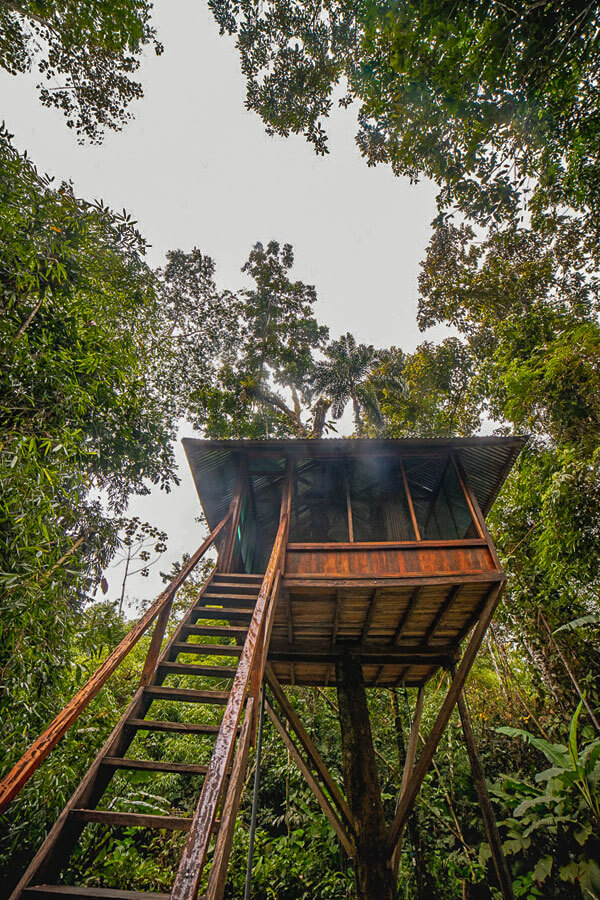 Treehouse Inn