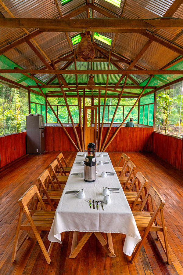 Treehouse Inn
