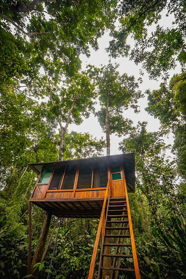 Treehouse Inn