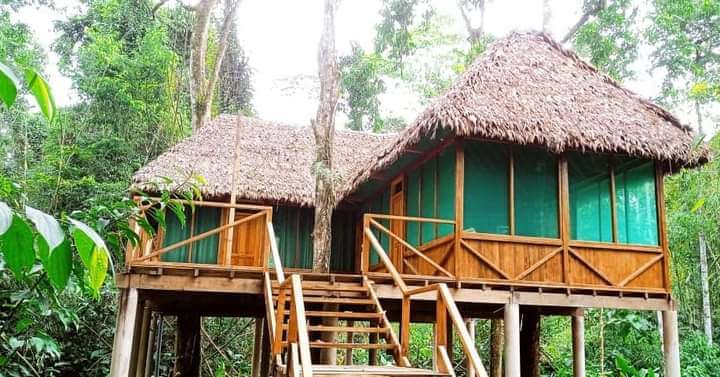 Treehouse Inn