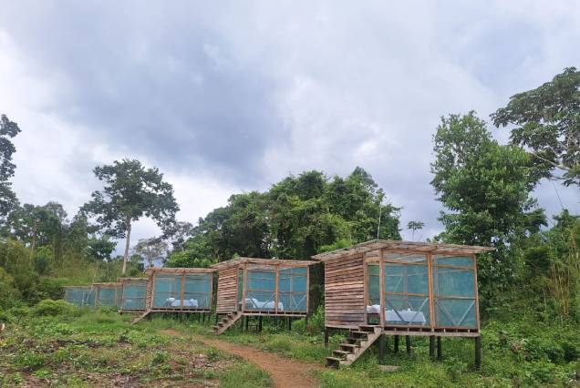 Manu Expedition – Sky Bed 5 days / 4 nights