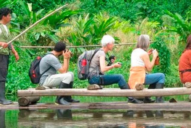 Jungle Adventure – Treehouse 3 days