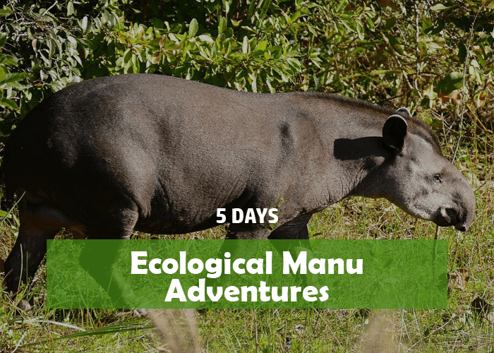 Ecological Manu Adventures 5 Days