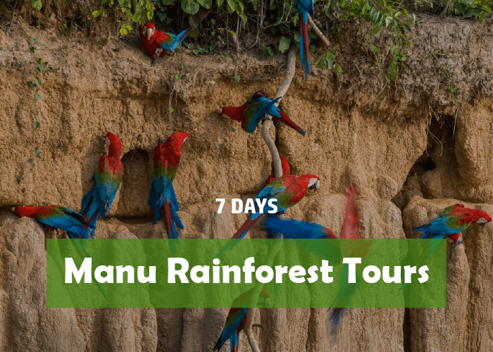 Manu Rainforest Tours 7 days