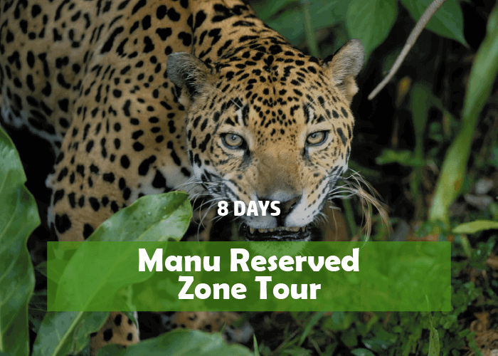 Tour Packages 8 days