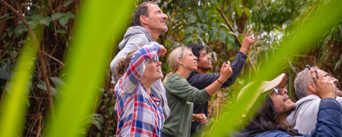 4 Day Tambopata Jungle Tour