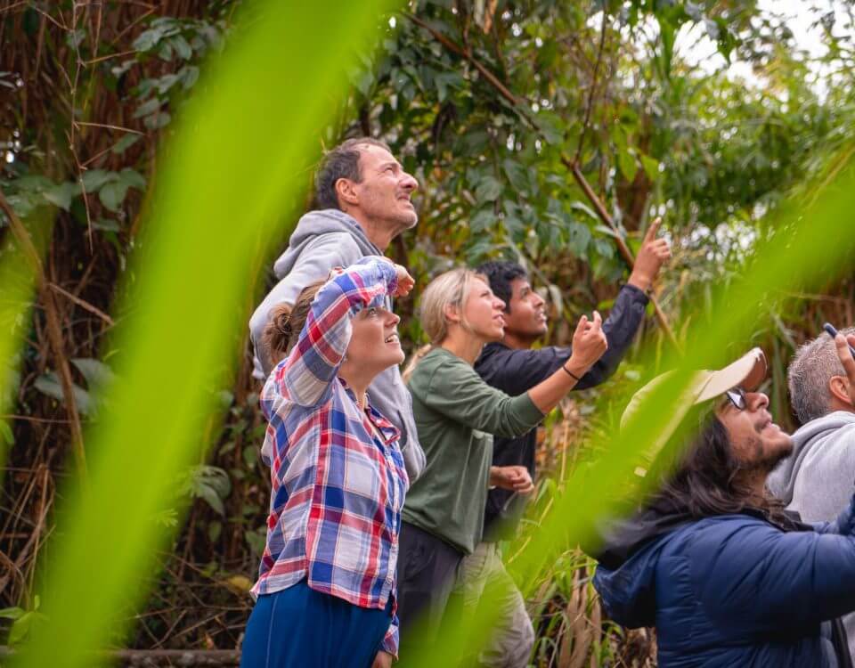 4 Day Tambopata Jungle Tour