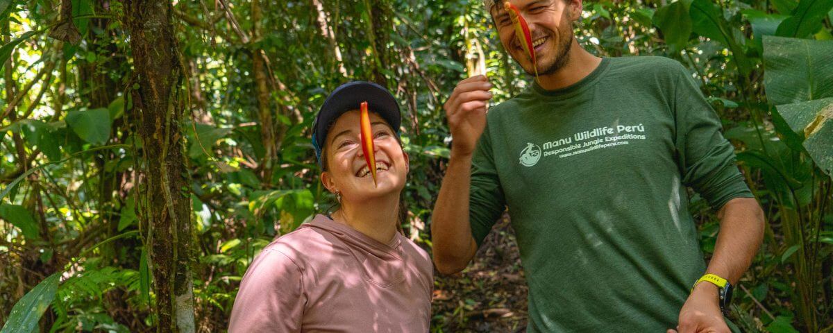 Amazon rainforest and Machu Picchu