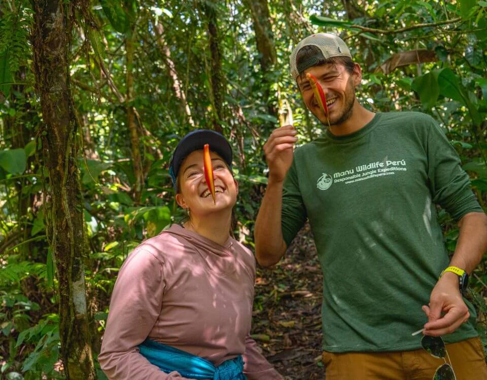Amazon rainforest and Machu Picchu