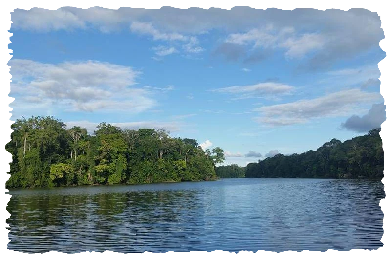 tambopata -packages-tours