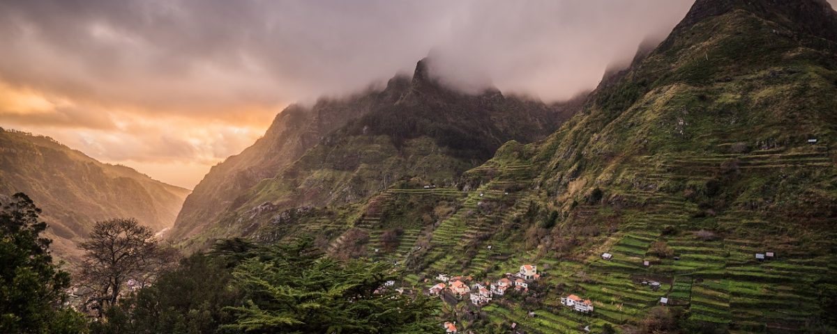 amazon rainforest and Machu Picchu tours